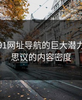 揭秘：91网址导航的巨大潜力与不可思议的内容密度