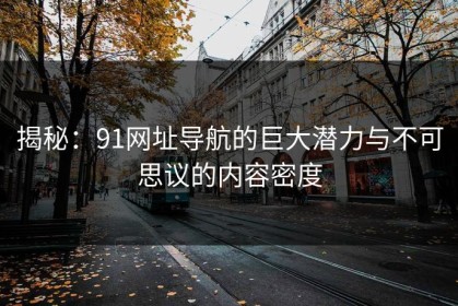 揭秘：91网址导航的巨大潜力与不可思议的内容密度