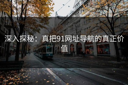 深入探秘：真把91网址导航的真正价值