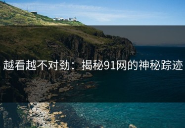 越看越不对劲：揭秘91网的神秘踪迹