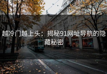 越冷门越上头：揭秘91网址导航的隐藏秘密