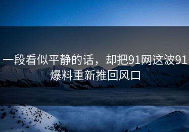 一段看似平静的话，却把91网这波91爆料重新推回风口