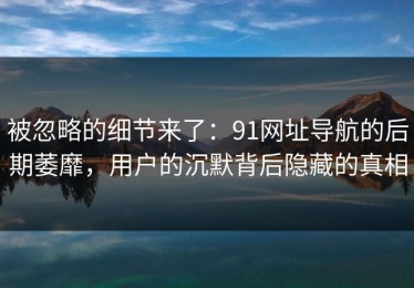 被忽略的细节来了：91网址导航的后期萎靡，用户的沉默背后隐藏的真相