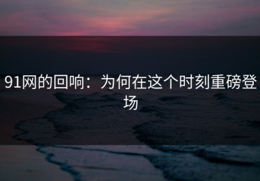 91网的回响：为何在这个时刻重磅登场
