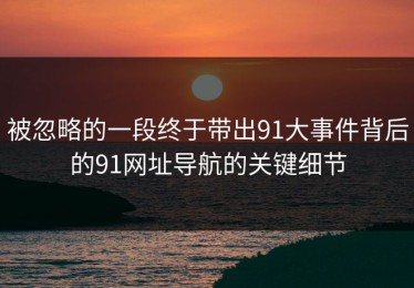 被忽略的一段终于带出91大事件背后的91网址导航的关键细节
