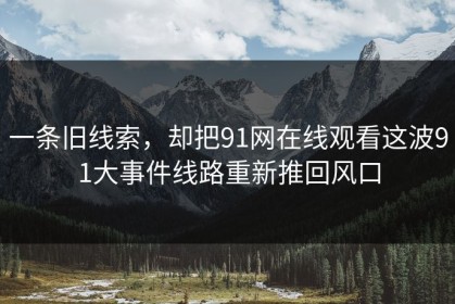 一条旧线索，却把91网在线观看这波91大事件线路重新推回风口