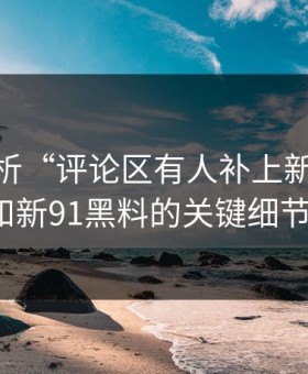 深入解析“评论区有人补上新91视频和新91黑料的关键细节”