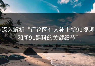 深入解析“评论区有人补上新91视频和新91黑料的关键细节”