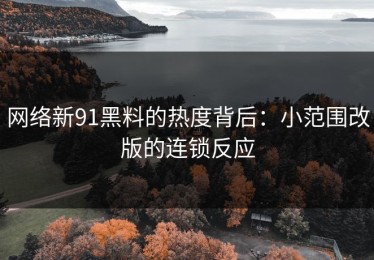 网络新91黑料的热度背后：小范围改版的连锁反应