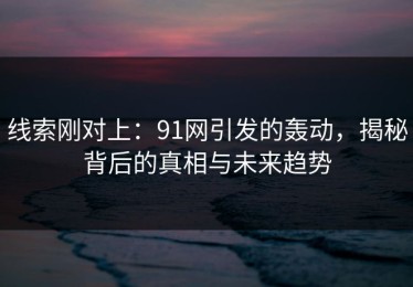 线索刚对上：91网引发的轰动，揭秘背后的真相与未来趋势