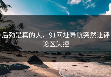 后劲是真的大，91网址导航突然让评论区失控