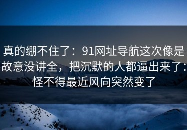 真的绷不住了：91网址导航这次像是故意没讲全，把沉默的人都逼出来了：怪不得最近风向突然变了