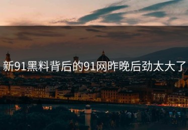 新91黑料背后的91网昨晚后劲太大了