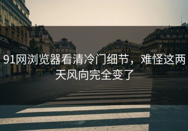 91网浏览器看清冷门细节，难怪这两天风向完全变了