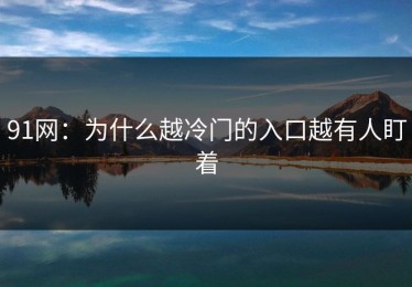 91网：为什么越冷门的入口越有人盯着