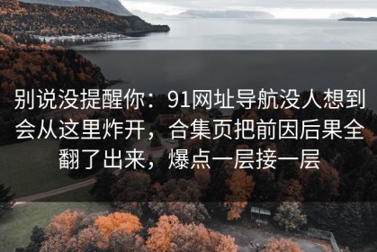 别说没提醒你：91网址导航没人想到会从这里炸开，合集页把前因后果全翻了出来，爆点一层接一层