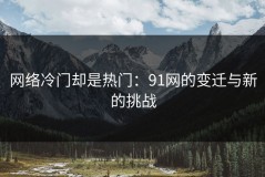 网络冷门却是热门：91网的变迁与新的挑战