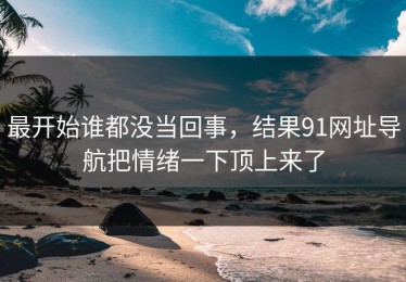 最开始谁都没当回事，结果91网址导航把情绪一下顶上来了