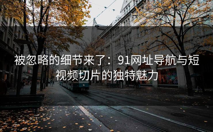 被忽略的细节来了：91网址导航与短视频切片的独特魅力