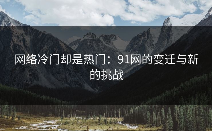 网络冷门却是热门：91网的变迁与新的挑战