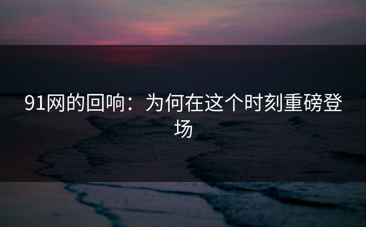 91网的回响:为何在这个时刻重磅登场 91网的回响:为何在这个时刻重磅登场