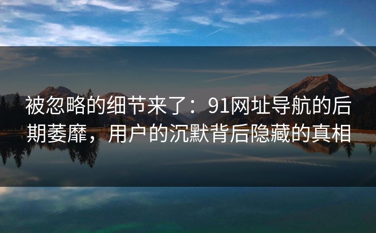 被忽略的细节来了：91网址导航的后期萎靡，用户的沉默背后隐藏的真相