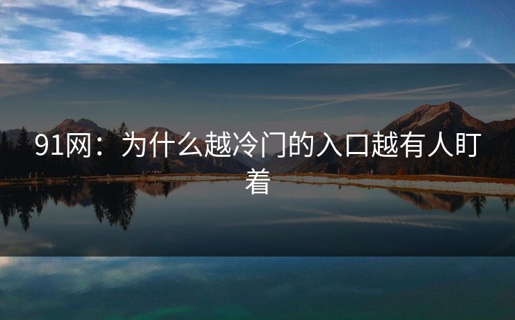 91网：为什么越冷门的入口越有人盯着