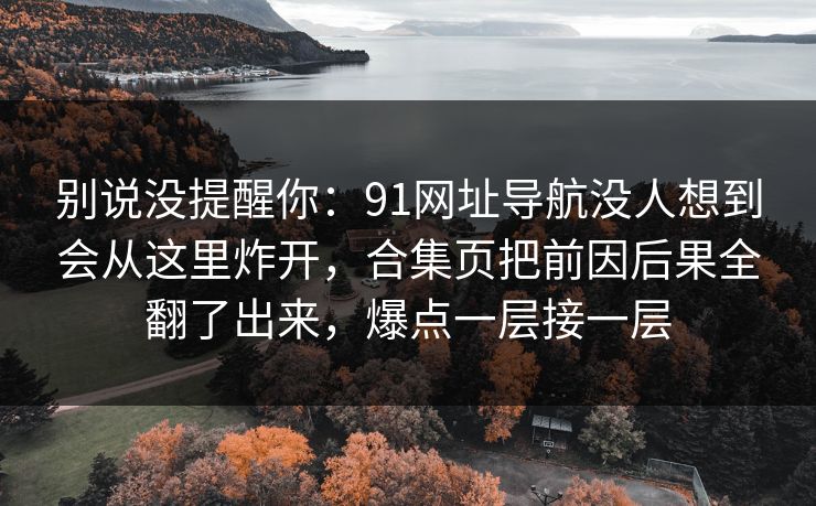 别说没提醒你：91网址导航没人想到会从这里炸开，合集页把前因后果全翻了出来，爆点一层接一层