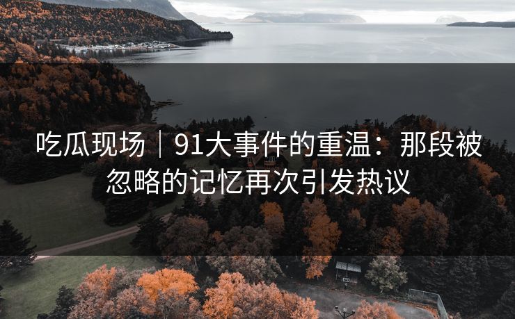 吃瓜现场｜91大事件的重温：那段被忽略的记忆再次引发热议