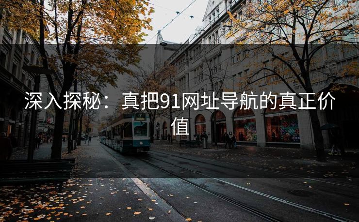 深入探秘：真把91网址导航的真正价值