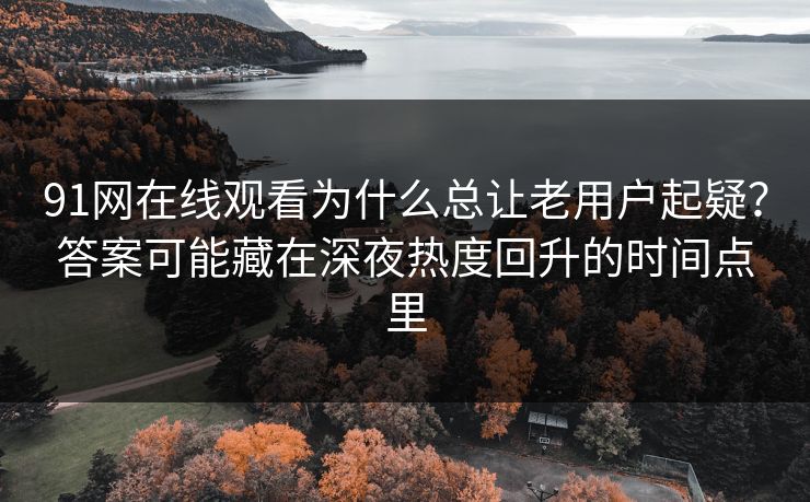 91网在线观看为什么总让老用户起疑?答案可能藏在深夜热度回升的时间点里 91网在线观看为什么总让老用户起疑?答案可能藏在深夜热度回升的时间点里