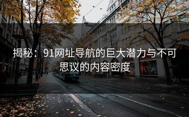 揭秘：91网址导航的巨大潜力与不可思议的内容密度