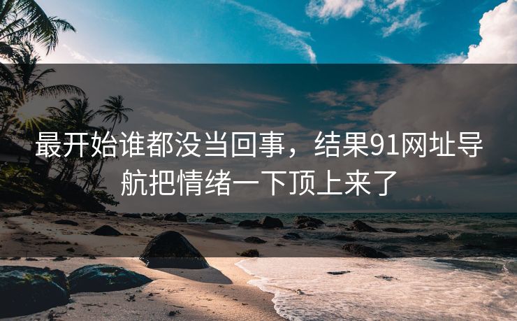 最开始谁都没当回事，结果91网址导航把情绪一下顶上来了